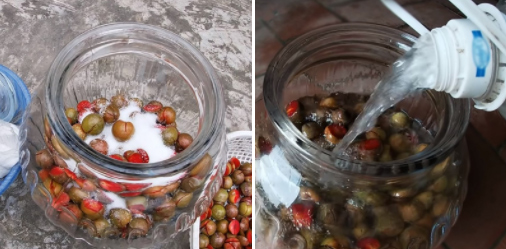 Ngâm rượu mận Ngâm rượu mận