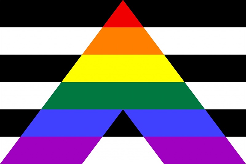 Cờ của người dị tính