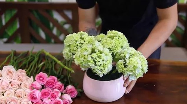 Cách cắm hoa cẩm tú cầu Cách cắm hoa cẩm tú cầu