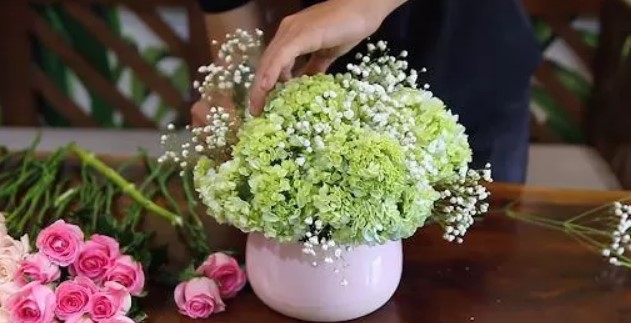 Cách cắm hoa cẩm tú cầu Cách cắm hoa cẩm tú cầu