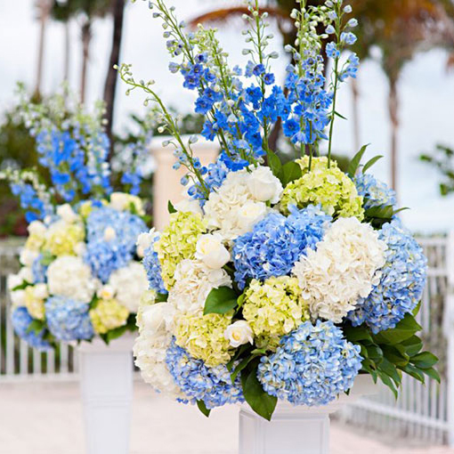 Cắm bông cẩm tú cầu Cắm bông cẩm tú cầu