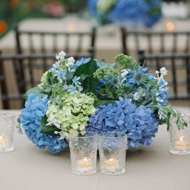 Cách cắm cẩm tú cầu để bàn Cách cắm cẩm tú cầu để bàn