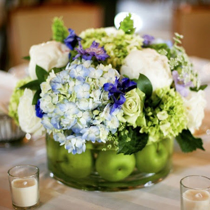 Cẩm tú cầu để bàn Cẩm tú cầu để bàn