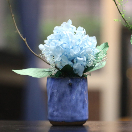 Cách cắm cẩm tú cầu Cách cắm cẩm tú cầu