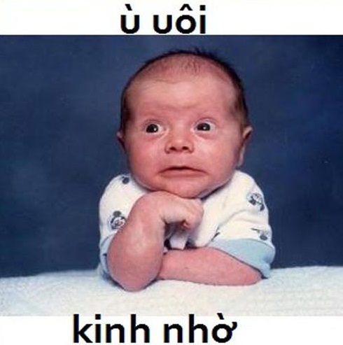 Ảnh trẻ em chế ngộ nghĩnh