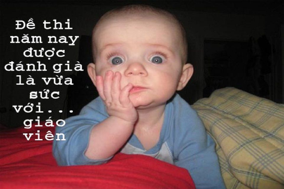 Ảnh chế em bé ngộ nghĩnh về học tập
