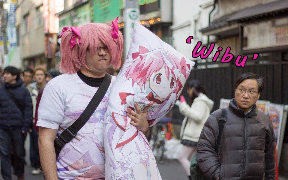 Bạn có phải Wibu không? Bạn có phải Wibu không?