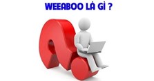 Wibu là gì? Wibu có nghĩa là gì? Bạn có phải là một wibu?