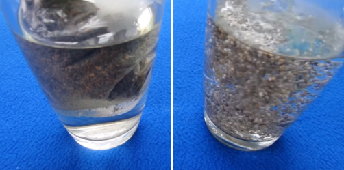 Pha trà đào hạt chia Pha trà đào hạt chia