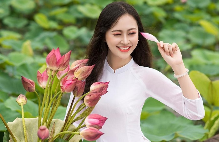 Ý nghĩa của hoa sen trong văn hóa Việt Nam Ý nghĩa của hoa sen trong văn hóa Việt Nam