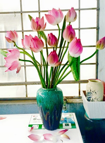 Mẫu cắm hoa sen đẹp và độc đáo Mẫu cắm hoa sen đẹp và độc đáo