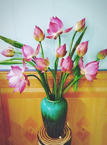 Mẫu cắm hoa sen đẹp và độc đáo Mẫu cắm hoa sen đẹp và độc đáo