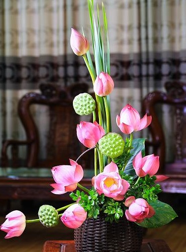 Mẫu cắm hoa sen đẹp và độc đáo Mẫu cắm hoa sen đẹp và độc đáo
