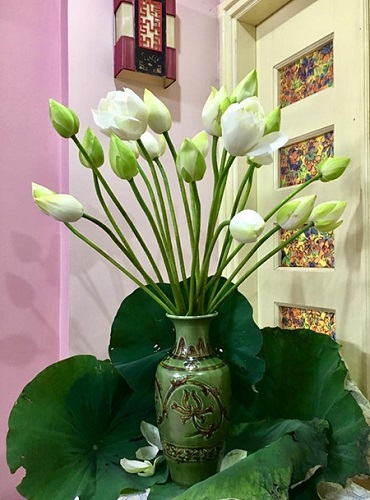 Mẫu cắm hoa sen đẹp và độc đáo Mẫu cắm hoa sen đẹp và độc đáo