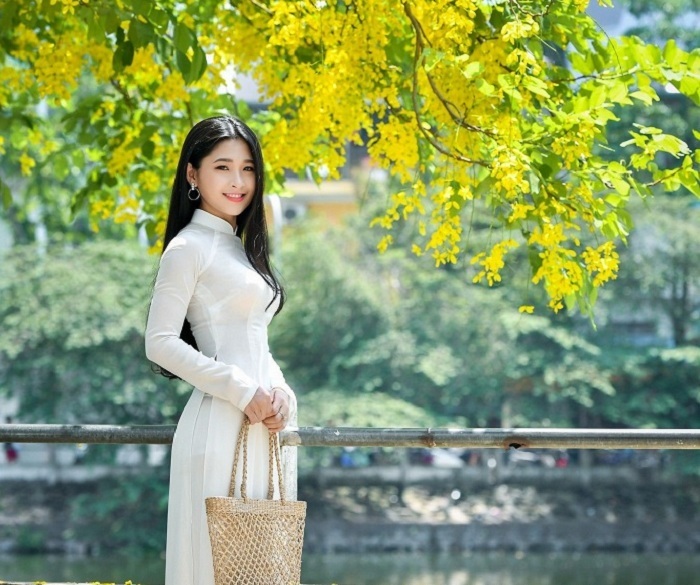 Mùa hoa muồng hoàng yến khi nào Mùa hoa muồng hoàng yến khi nào