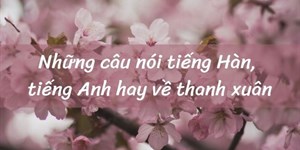 Những câu nói tiếng Hàn, tiếng Anh hay về thanh xuân