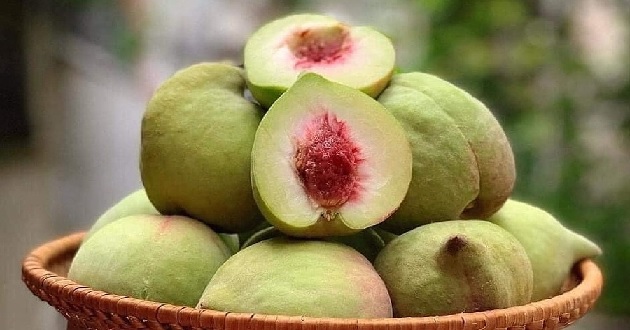 Cách làm đào ngâm