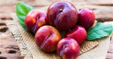 Mận Hà Nội có tác dụng gì? Giá mận Hà Nội bao nhiêu?