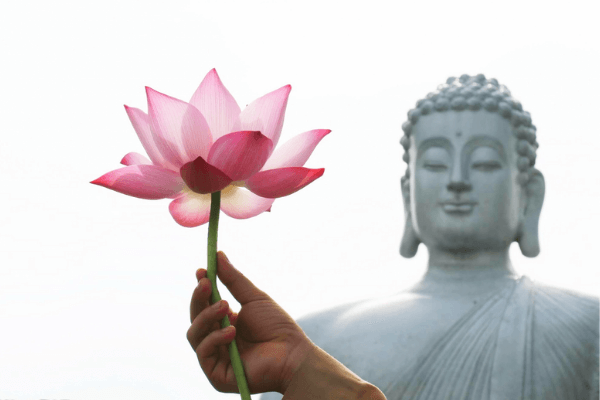 Hình ảnh hoa sen Phật giáo Hình ảnh hoa sen Phật giáo
