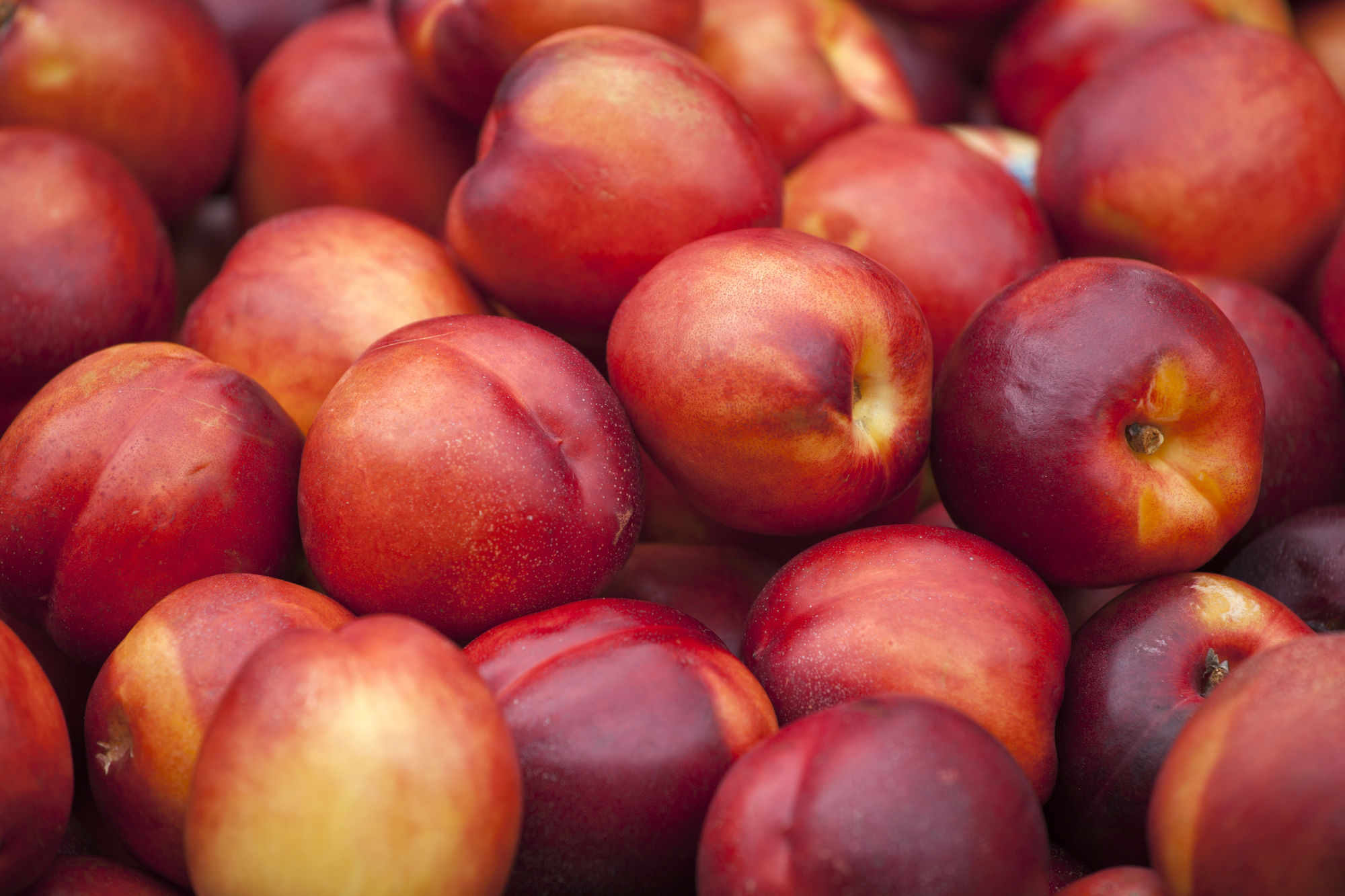 Quả đào trơn (nectarine)