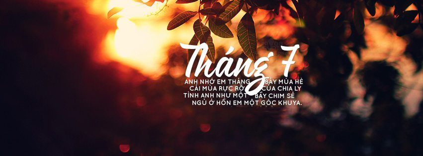 Câu nói hay chào tháng 7 Câu nói hay chào tháng 7