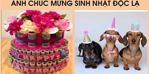 Hình ảnh chúc mừng sinh nhật bá đạo, hài hước, chế vui, troll bựa