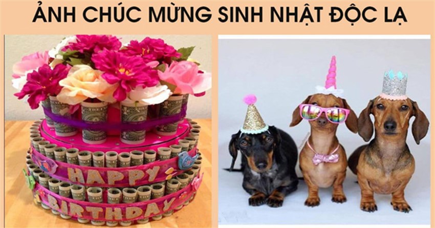 Hình ảnh chúc mừng sinh nhật bá đạo, hài hước, chế vui, troll bựa
