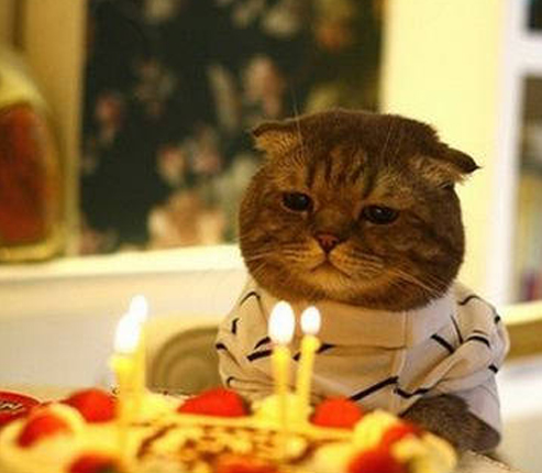 Ảnh chúc mừng sinh nhật chế Ảnh chúc mừng sinh nhật chế