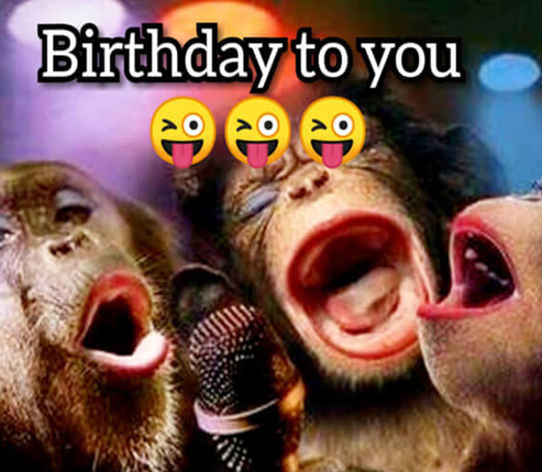 Ảnh sinh nhật chế vui Ảnh sinh nhật chế vui