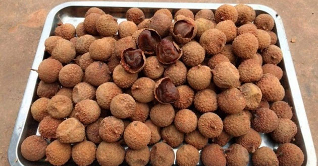 Cách làm vải sấy khô bằng lò nướng Cách làm vải sấy khô bằng lò nướng