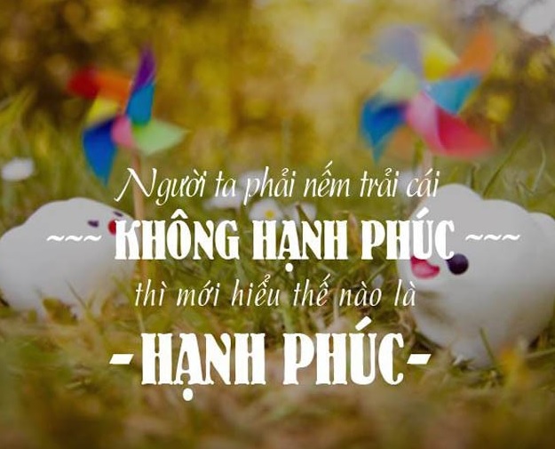 Hạnh phúc là gì