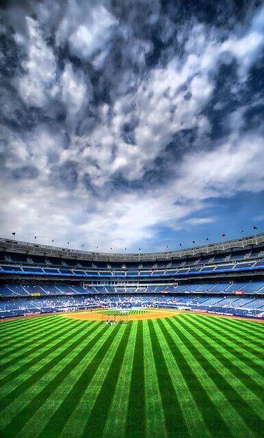 Hình nền sân cỏ cho điện thoại