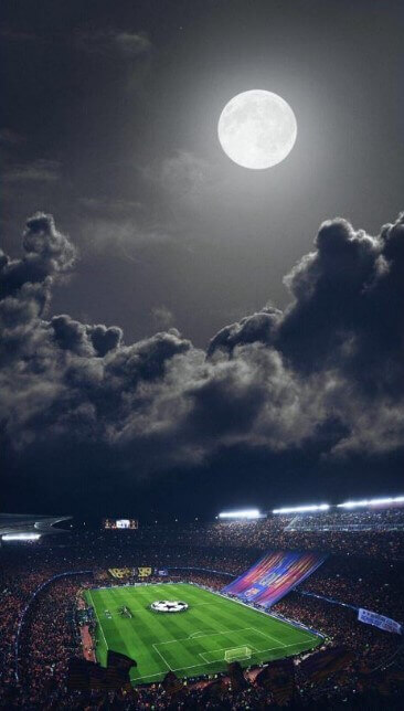 Hình nền sân cỏ cho điện thoại