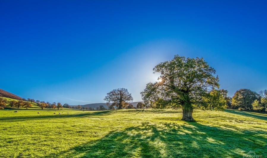 Dấu hiệu nhận biết gió Lào