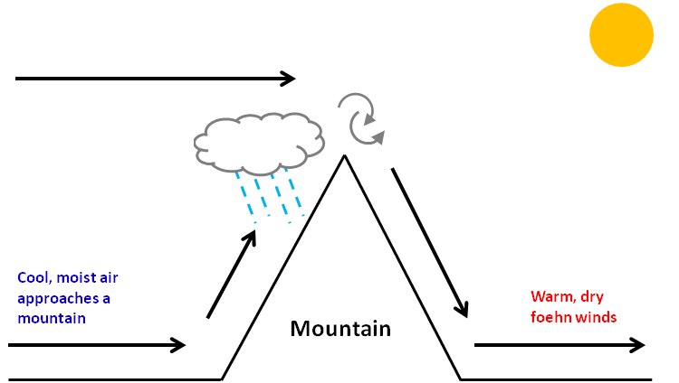 Sự hình thành của hiệu ứng phơn