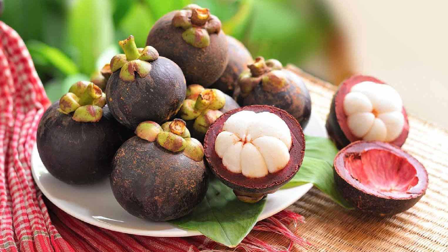 Tác dụng của quả măng cụt