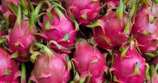 Ăn thanh long có tốt không? Ăn thanh long có tác dụng gì?