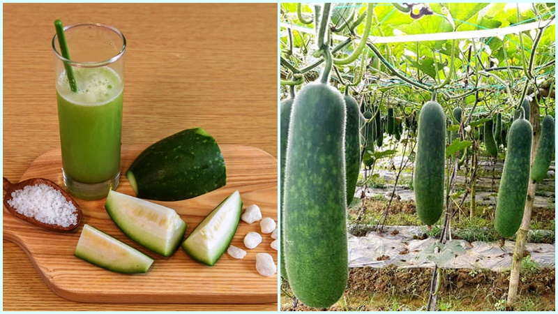 Cách làm nước ép bí đao với mật ong