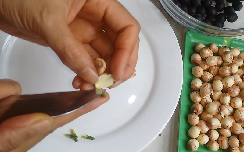 Cách lấy tâm sen nhanh Cách lấy tâm sen nhanh