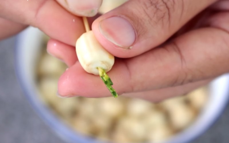 Cách lấy tâm sen nhanh Cách lấy tâm sen nhanh