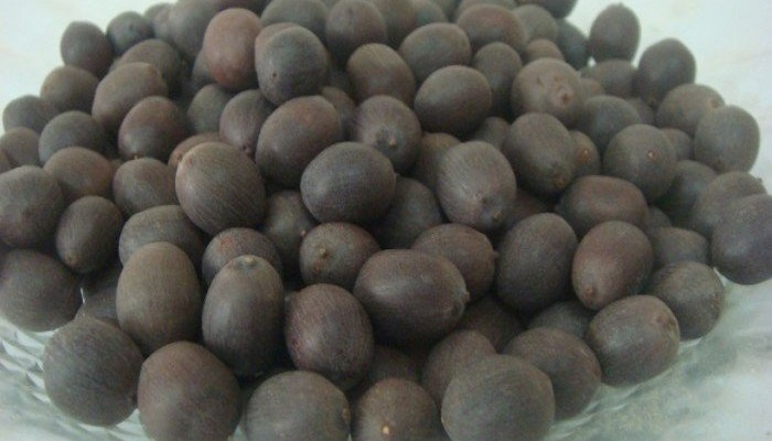 Cách bóc hạt sen khô nhanh chóng Cách bóc hạt sen khô nhanh chóng