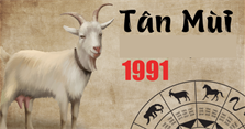 Sinh năm 1991 mệnh gì, là tuổi con gì, hợp màu gì?