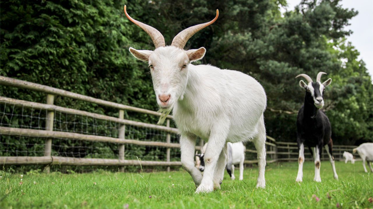 Sinh năm 1991 hợp con số nào? Sinh năm 1991 hợp con số nào?