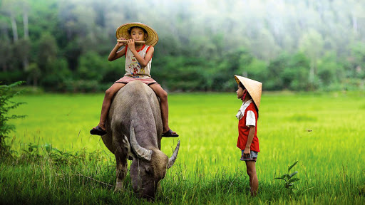 Sinh năm 1997 hợp con số nào?