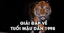 Sinh năm 1998 mệnh gì, tuổi con gì, hợp màu gì?