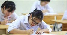 Khối D01 (D1) gồm những môn nào, ngành nào? Các trường Đại học khối D1