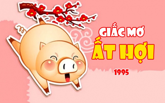 Sinh năm 1995 tuổi gì?