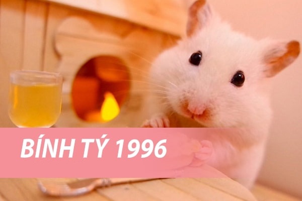 Sinh năm 1996 mệnh gì?
