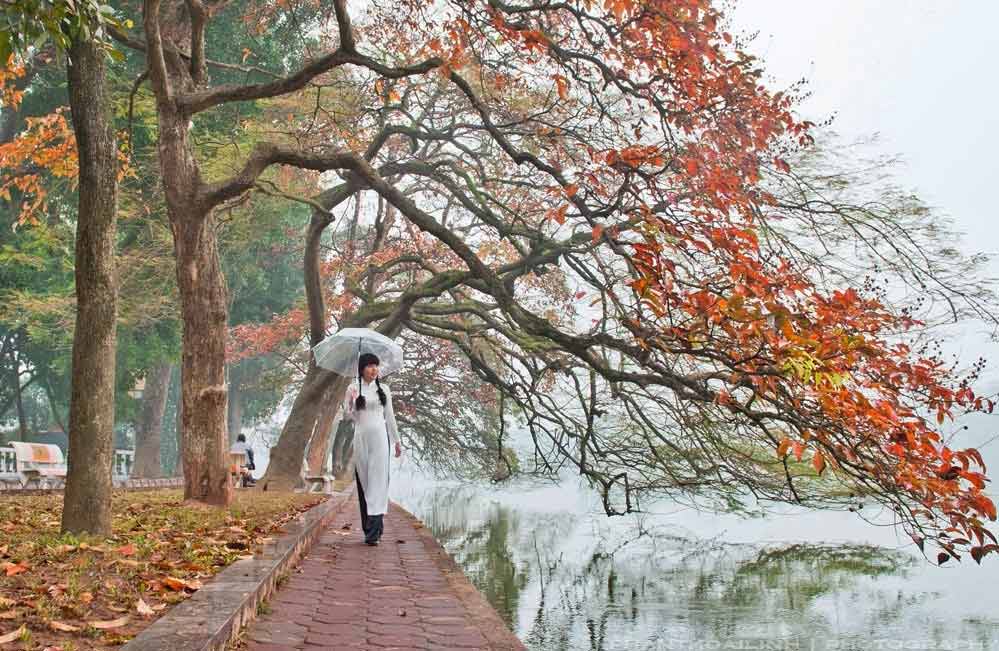 Stt hài hước về mùa thu