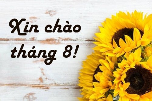 Những stt tháng 8 hay, ý nghĩa Những stt tháng 8 hay, ý nghĩa
